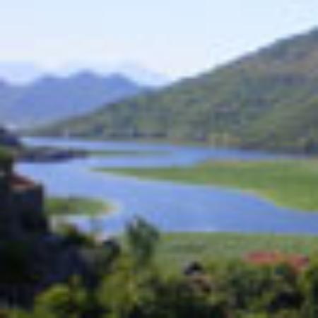 Nino's Italian Restaurant